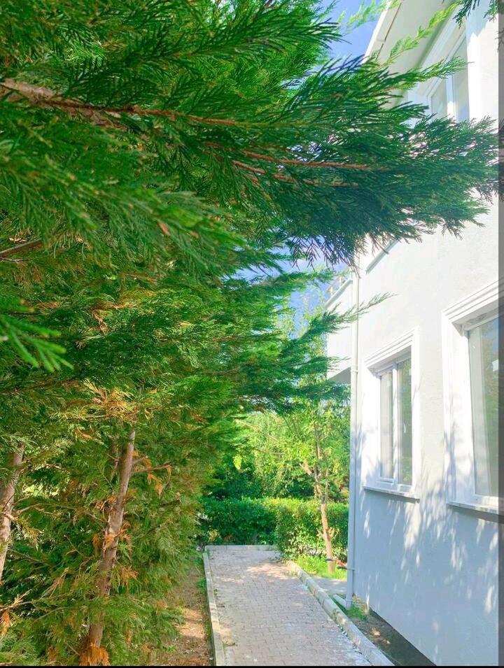 Ahmet Teacher Hotel, 5 Minutes From The Airport Arnavutkoy Dış mekan fotoğraf